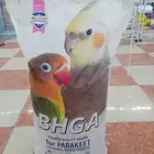 محل قطه وطير