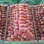 تمر سكري بانواعه