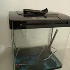 حوض سمك استخدام فترة بسيطه للبيع