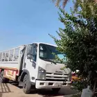 دينا موجودة في القصيم