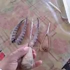 للبيع العرض