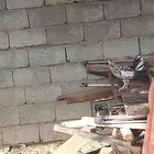 ثنتين دجاجه