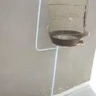 قفص مع الاستاند وحامل القطط مع ليتر بوكس