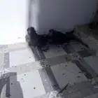 جوز بخاره حجم طيب البيع مستعجل 200