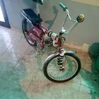 رامبو مقاس 20