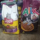 محل قطه وطير