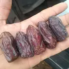 خضري الغاط الكميه يمكن 20طن