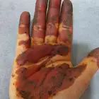 بيع حنا طبيعي حلو