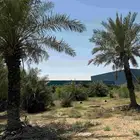 ارض زراعي للبيع الجبيل الصناعيه