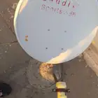 صحن ستالايت دش وثلاجة وقواربر دورق ولى صرف مطبخ ثنائى