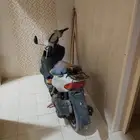 دباب بطه للبيع