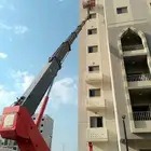 سطحه سله ورافعات شوكيه