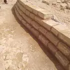 الرياض