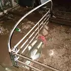 شد ددسن غمارتين للبيع على السوم