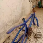 سيكل كوبرا