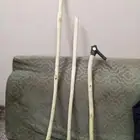 مشاعيب وعصي عتم