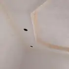 معلم دھان بويا