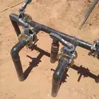 سبا  زراعتي نخل سجر شب   ليات جوال