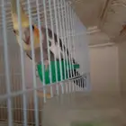 تم البيع ولله الحمد