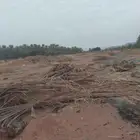 جريدنخل مجان