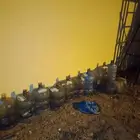 جراكل