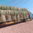 لفات رودس المذنب جديد التلبين يوم الاثنين الصباح