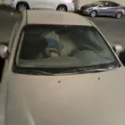 كيا اوبتيما 2007