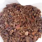 تمر علف اغنام والجمل موجود في رهاط