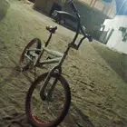 كوبرا مقاس 21
