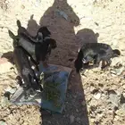 جديات للبدل او البيع