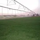 ثيل طبيعي تنسيق حدائق