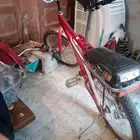 للبيع رامبو اندنوسي اصلي