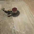 شركة تنظيف ومكافحة الحشرات بالدمام والخبر