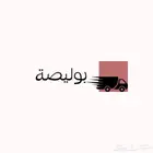 بوليصات شحن داخلي مخفضة