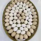 بيض بلدي