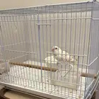 فندقه طيور