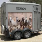 عربة نقل خيل نجران