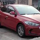 النترا 2017 نص فل