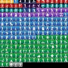 ايبك حفل ملكي