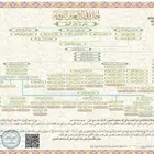 دورة السيرة النبوية و تأسيس في العقيدة من كتاب التوحيد