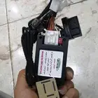 مثبت فيلوز فيتنامي