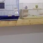 الشرقيه المبرز الحزم