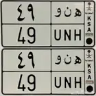 لوحه هنو ( ه ن و 49 )