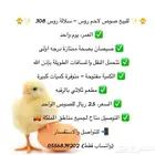 صوص لاحم روس