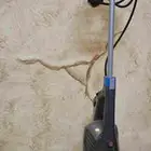 مكنسة بيسيل Feather Weight