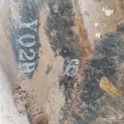 كارونة باترول 97 للبيع للتوتصل