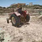 سبت العلايا