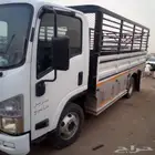 دينا ايسوزو 2020