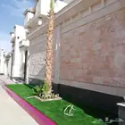 ثيل طبيعي وي ترتيب شجار