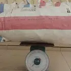 عيش للغنم
